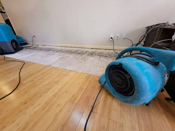 Professional Basement Flood Cleanup technician working in Valley Farms, AZ
